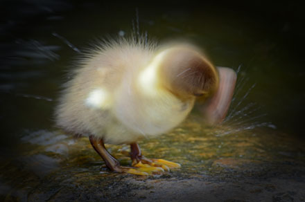 Foto: &copy; Roar Bech, "Andungen"