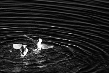 Foto: &copy; Roar Bech, "Br&aring;kmakere"