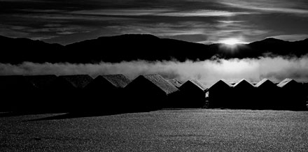 Foto: &copy; Roar Bech, "Frostr&oslash;yk i v&aring;gen"