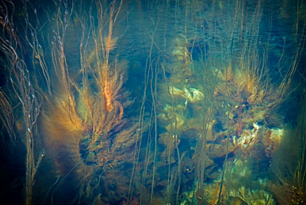 Foto: &copy; Roar Bech, "Havblikk"