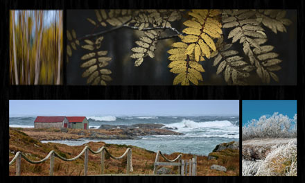 Foto: &copy; Roar Beck, "H&oslash;st 1"