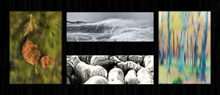 Foto: &copy; Roar Bech, "H&oslash;st 2" 