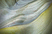 Klikk her for de premierte bildene fra denne runden