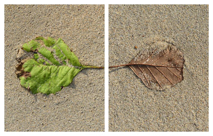 Foto: &copy; Roar Bech, "L&oslash;v"