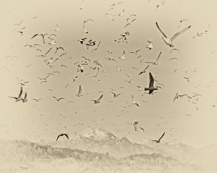 Foto: &copy; Roar Bech, "M&aring;keskrik"