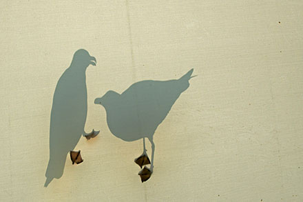 Foto: &copy; Roar Bech, "M&aring;kene".