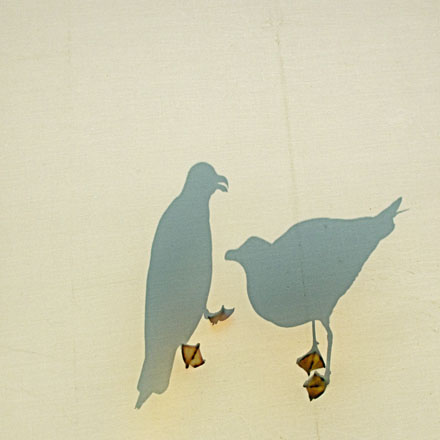 Foto: &copy; Roar Bech, "M&aring;ker p&aring; telttak"