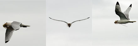 Foto: &copy; Roar Bech, "M&aring;ker"