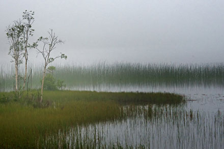 Foto: &copy; Roar Bech, "Morgenstund"