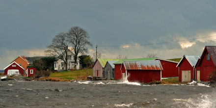 Foto: &copy; Roar Bech,"Springflo"