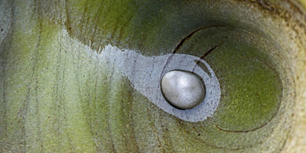 Foto: &copy; Roar Bech, "Stone alone"