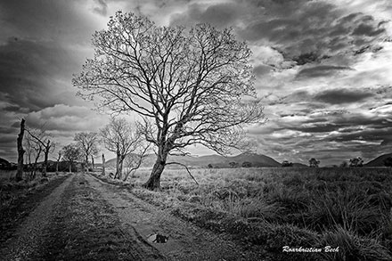 Foto: &copy; Roar Bech