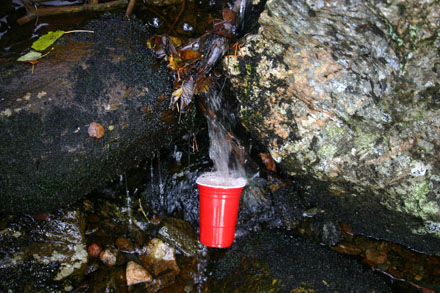 Foto: &copy; Ragnhild Herskedal, "T&oslash;rst"