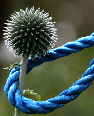 Foto: &copy; Sarah Jo Baumann Larsen, "Fanget"