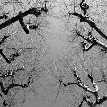 Foto: &copy; Sarah Jo Baumann Larsen, "Opp mot himmelen"