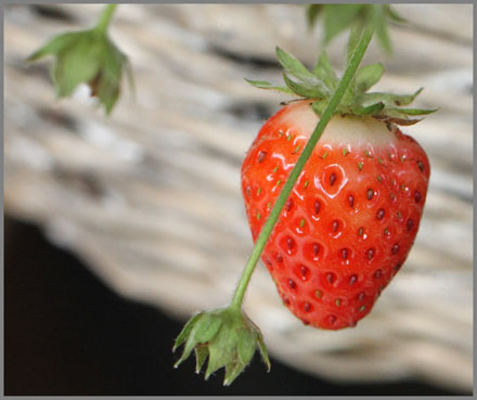 Foto: &copy; Sarah Jo Baumann Larsen, "S&oslash;tt og godt"