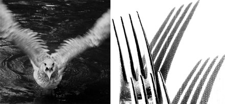 Foto: &copy; Sarah Jo Baumann Larsen, "Spiss"