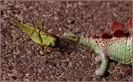 Foto: &copy; Sarah Jo Baumann Larsen, "To gode venner"