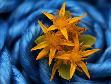 Foto: &copy; Sarah Jo Baumann Larsen, "Trio"