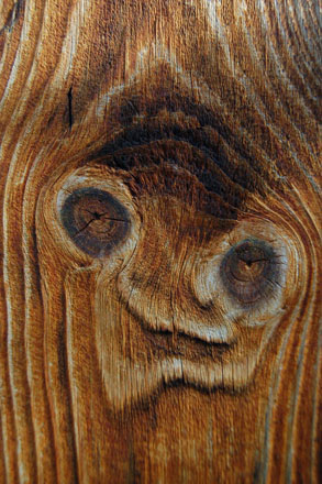 Foto: &copy; Sara Jo Baumann Larsen