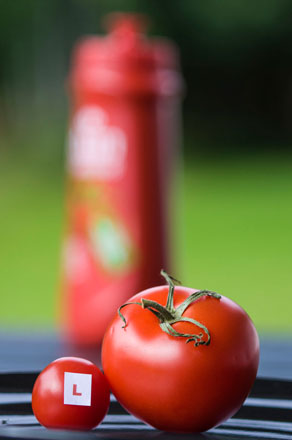 Foto: &copy; Svein Kvakland, "Framtidsutsikter"