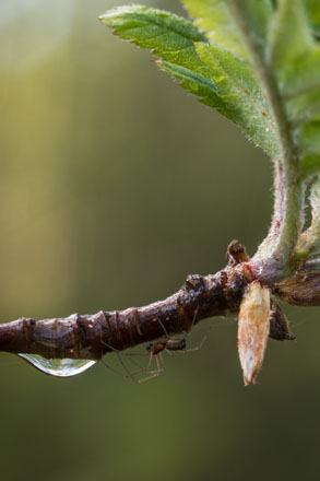 Foto: &copy; Svein Kvakland, "P&aring; undersida"