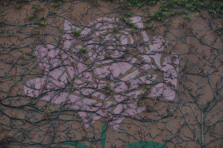 Foto: &copy; Svein Kvakland