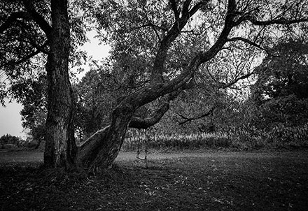 Foto: &copy; Svein Kvakland.