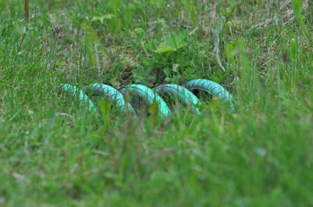 Foto: &copy; Svein Kvakland