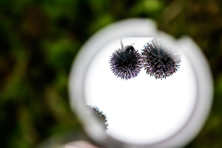 Foto: &copy; Trude Lien, "Bi"