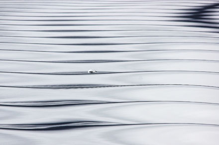 Foto: &copy; Trude Lien, "Gjentagelse 2"