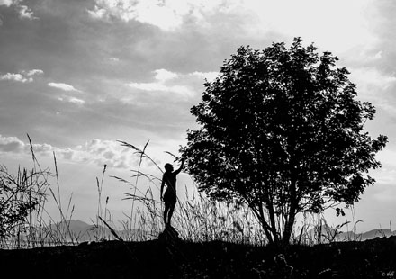 Foto: &copy; Trude Lien, "Treet"