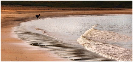 Foto: &copy; Tove Skive Hoel, "B&oslash;lgeviskeren"