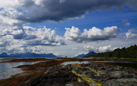 Foto: &copy; Tove Skive Hoel, "Fj&aelig;re sj&oslash; og et tre"