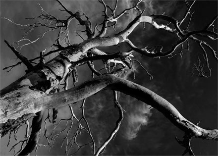 Foto: &copy; Tove Skive Hoel, "Gammel krok"