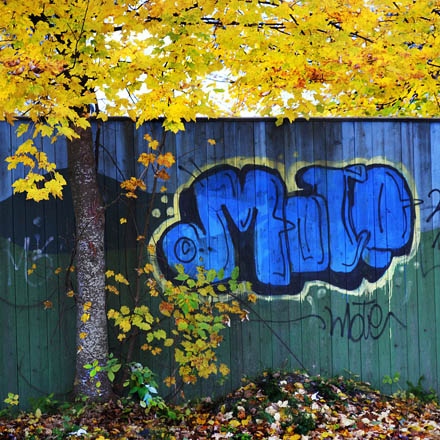 Foto: &copy; Tove Skive Hoel, "Milo"