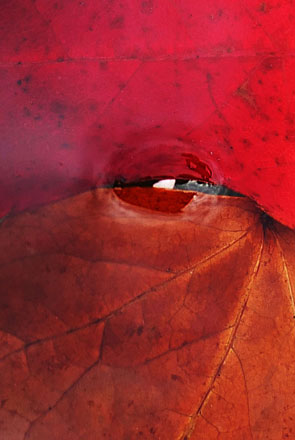 Foto: &copy; Tove Skive Hoel, "Noen ser deg..."