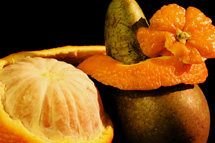 &Aring;rets fotograf 2008