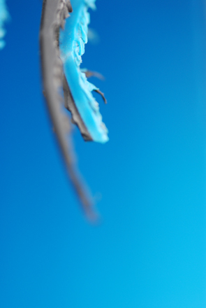 Foto: Hogne Danielsen