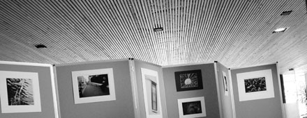 Utstilling Molde R&aring;dhus, foto: Jonas Hallberg Eggen